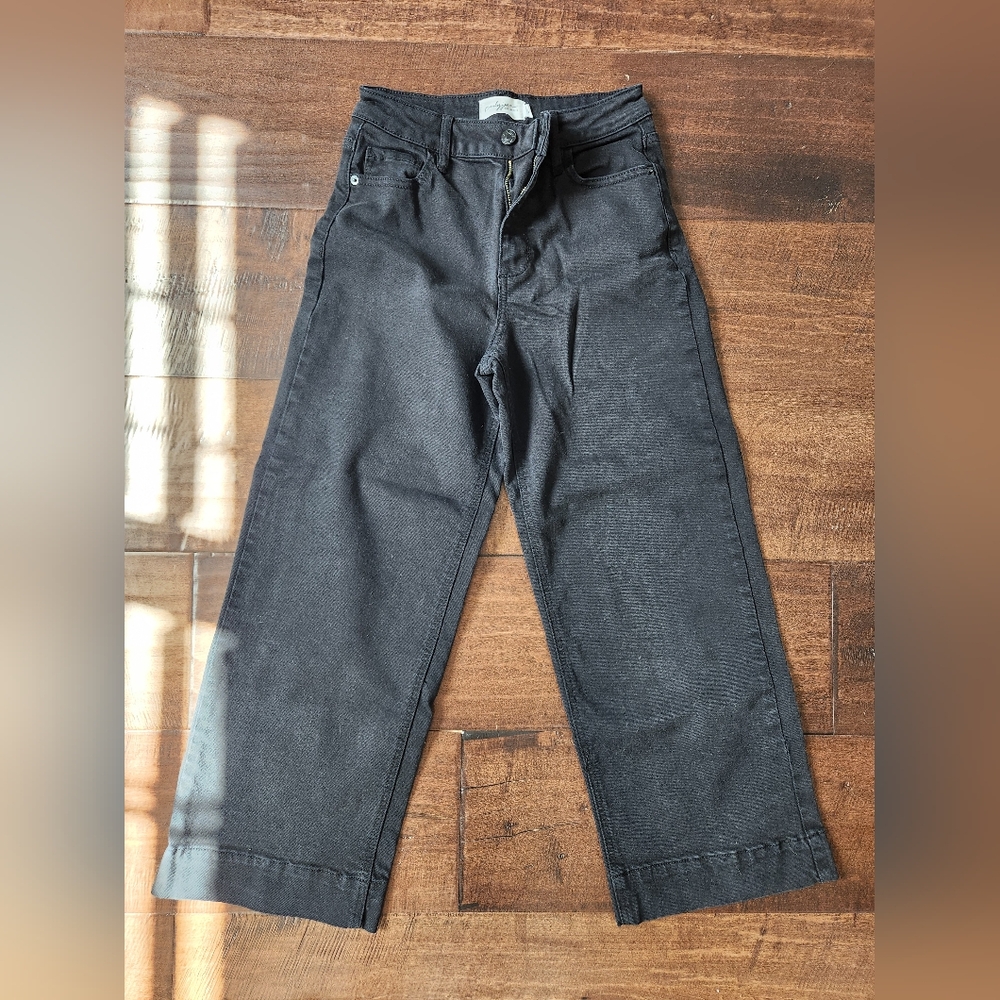 Cjla Black MER Ankle Pants Size 1